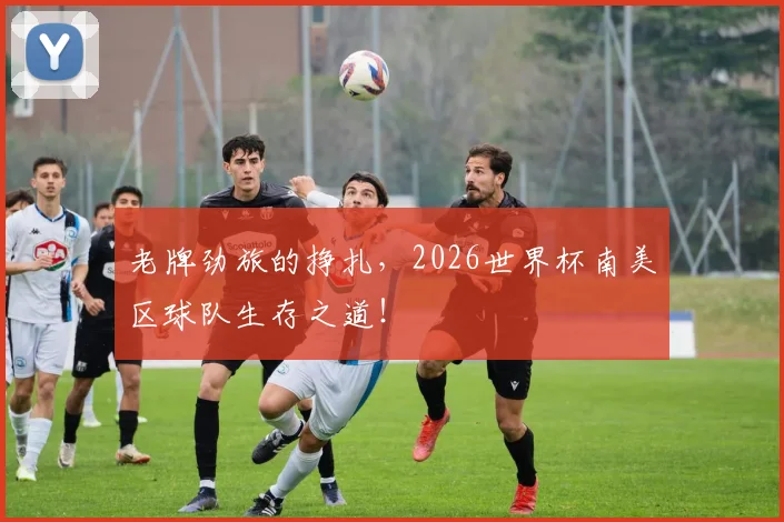 老牌劲旅的挣扎，2026世界杯南美区球队生存之道！