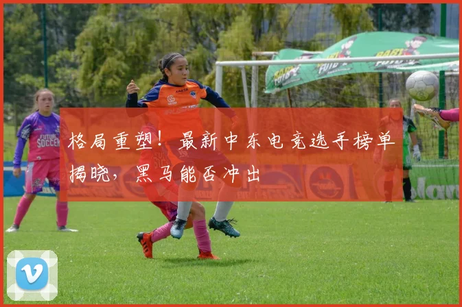 格局重塑!最新中东电竞选手榜单揭晓,黑马能否冲出